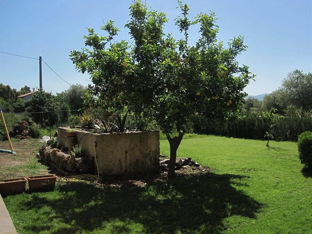 Villa Las Rosas Alghero 0*,